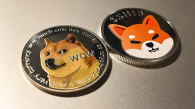 doge-g5f98d5aa2_1280.jpg